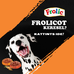 PetPal.hu állateledel áruház