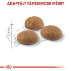 Royal Canin FHN Outdoor 30 10kg