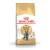 ROYAL CANIN BRITISH SHORTHAIR ADULT - Brit rövidszőrű felnőtt macska száraz táp (4 kg)
