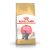 Royal Canin FBN Cat British Shorthair Kitten 400g