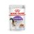 ROYAL CANIN STERILISED JELLY - ivartalanított felnőtt macska zselés nedves táp (12*85g)