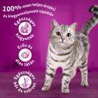 Whiskas 14kg Csirkével száraztáp felnőtt macskák számára