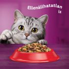 Whiskas 14kg Marhás száraztáp felnőtt macskák számára