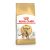 ROYAL CANIN BENGAL ADULT - Bengáli felnőtt macska száraz táp (10 kg)