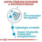 Royal Canin SHN WET Maxi Puppy 10x140g