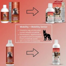   Arthrocol Mobility Senior Komplex ízület- és porcerősítő tápkiegészítő kutyáknak 300ml