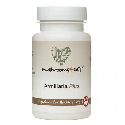 Armilliaria Plus 500mg 60db